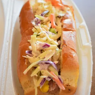 Slaw Dog