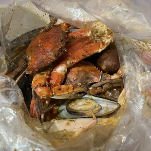 Green Mussel Pot