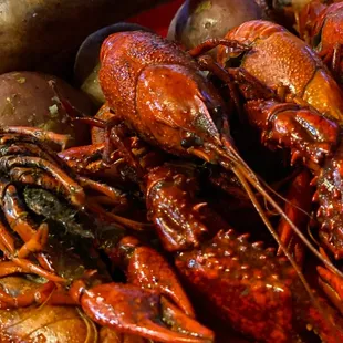 Boiled Crawfish