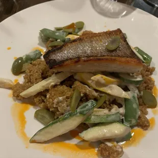 Red Snapper