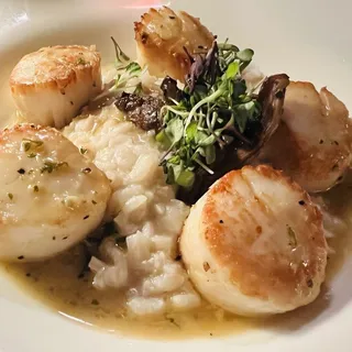 Pan Seared Scallops