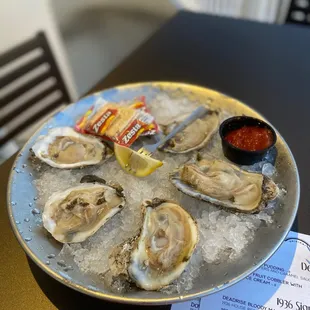 Oysters on the half shell.