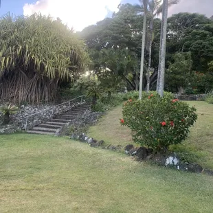 Entrance into reception area