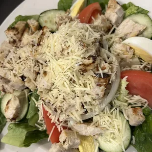 Grilled chicken salad