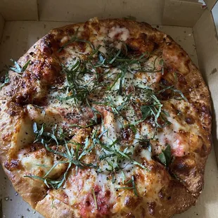 Cheese Pizza