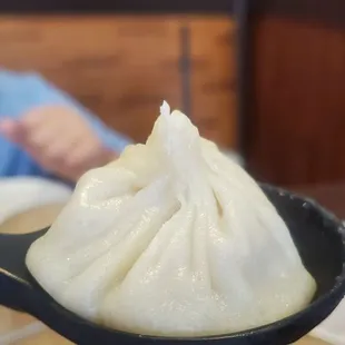 a spoon full of dumplings