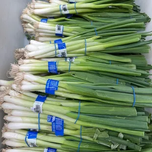 a display of green onions