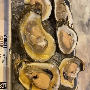 Oysters on the half shell