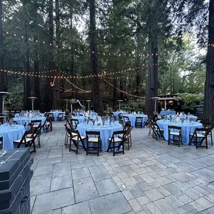 Reception decorations