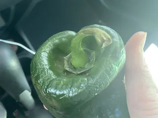 El Charro Mexican Market & Carniceria