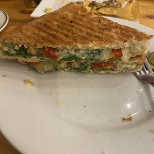 Mediterranean Panini