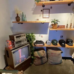 a television and a shelf with potted plants