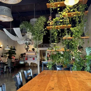 Decor