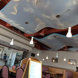 When I looked up, at first I thought I was looking at clouds.