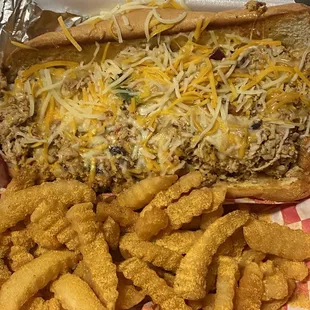 Chicken Philly/ best season fries