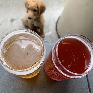 Blueberry Sour &amp; Ground Rush IPA and a puppy. #brewdog