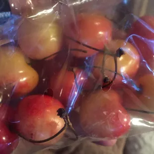 Rainier cherries are sooooo good!!! We ate them all in minutes and wanted to go back for more.