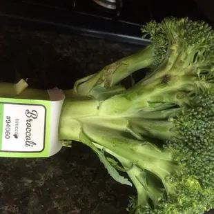 a piece of broccoli