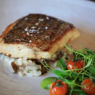 Baja Striped Bass with creamy Mushroom Risotto and Tomato Confit