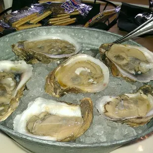 Oysters on the Half Shell