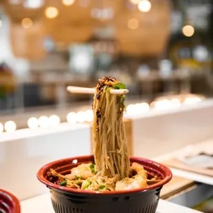 Anti Gravity Noodles