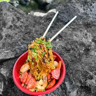 Anti Gravity Noodles