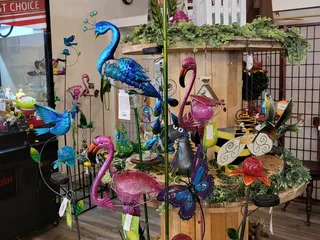 The Rabbit Hole Trading