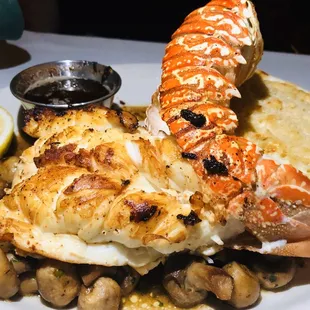 Lobster with mushrooms &amp; Mac and cheese