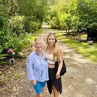 A beautiful cocoa farm