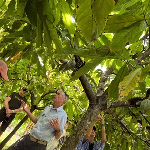 Mike the owner, a Navy veteran