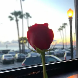 Fresh live roses on every table