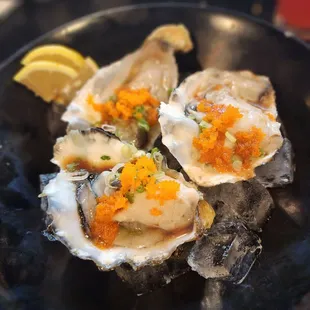 Oysters were SUPER fresh!