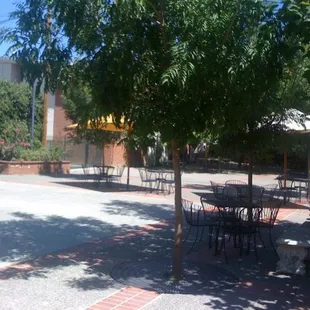 Back patio area