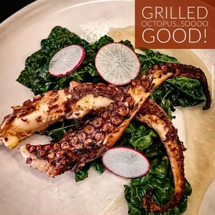 Delicious Grilled Octopus