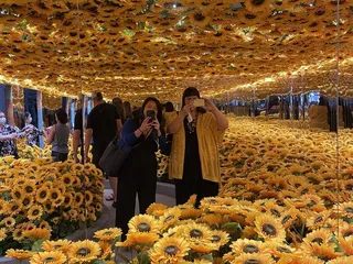 The Hangar at Stanley
