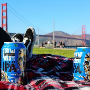 Brew Free! or Die Cold IPA (6.5% ABV)