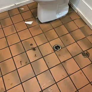 Not an uncovered hole in the ladies room.  Nope.