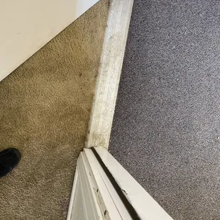 Dirty carpet and feces