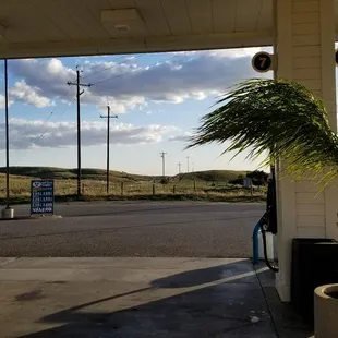 a gas station with a palm tree