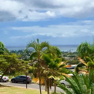 a view of a street with palm trees in the foreground