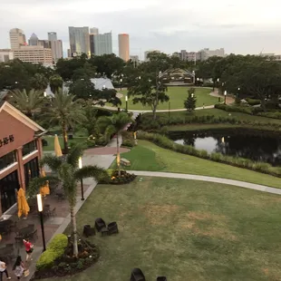 View from the outside lounge area.