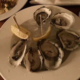 a plate of oysters