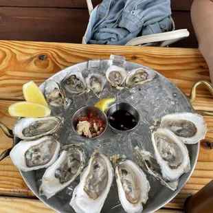 Oysters