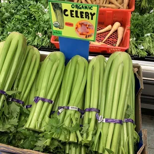 $1.99 Organic Celery {8/25/2022}