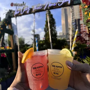 Non Alcoholic Drinks