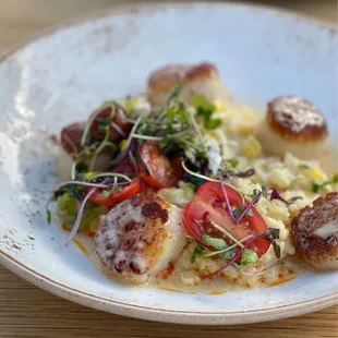 Scallops and risotto.