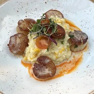 Day Boat Scallops