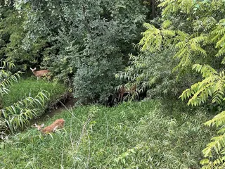 Bear Slide Golf Club
