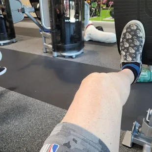 Man exercises with his Caneby Coros defense dog. I can't find homeowners insurance for a dog like this.