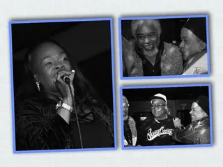 OMD Official Music District